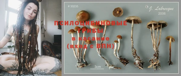 круглые Гусиноозёрск
