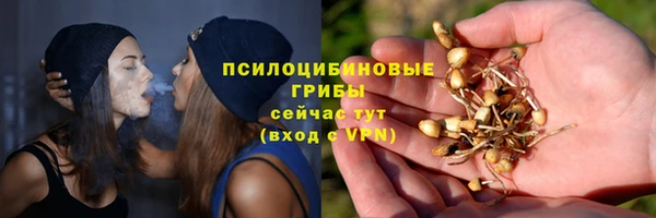 круглые Гусиноозёрск