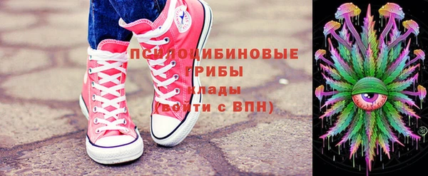 экстази Гусь-Хрустальный