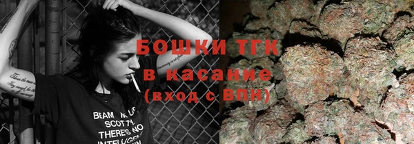 экстази Гусь-Хрустальный