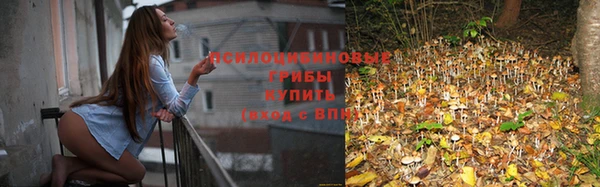 мефедрон Гусев