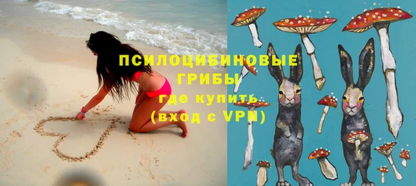 экстази Гусь-Хрустальный